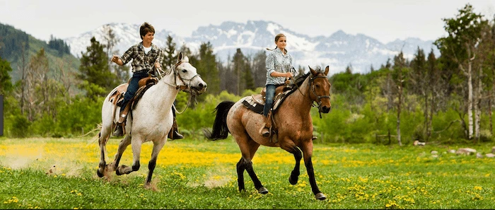 Confident plus-size woman riding Surrey a horse through a field with a smile on her face.